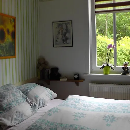 Regina Apartment Schierke