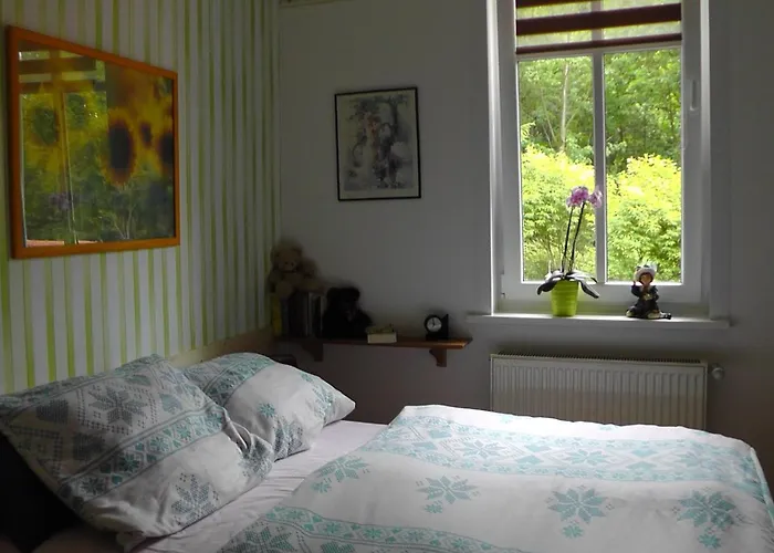 里吉纳别墅酒店 公寓 施尔奇