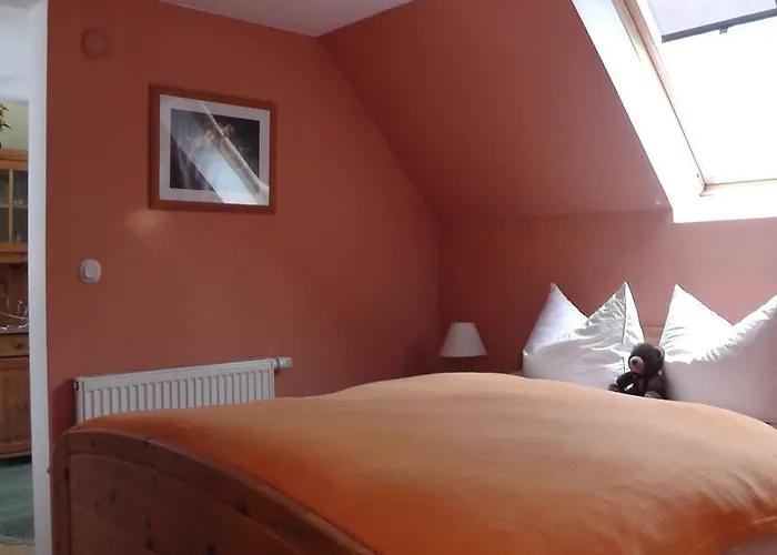 里吉纳别墅酒店 公寓